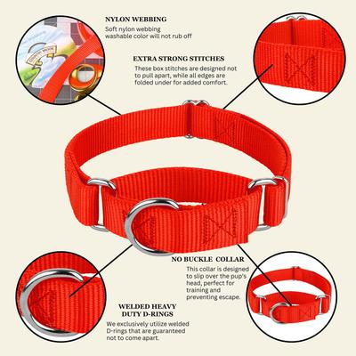 Show full view: Country Brook Design Heavyduty Nylon Martingale Dog Collar, Hot Orange, Medium: 15 to 21-in neck, 1-in wide slide 9 of 10