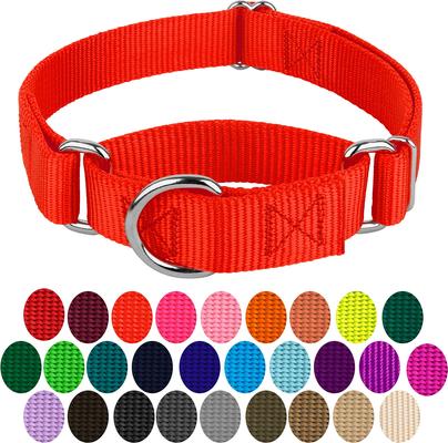 Show full view: Country Brook Design Heavyduty Nylon Martingale Dog Collar, Hot Orange, Large: 18 to 26-in neck, 1-in wide slide 5 of 10