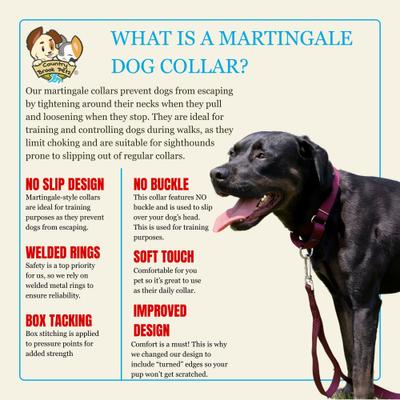 Show full view: Country Brook Design Heavyduty Nylon Martingale Dog Collar, Burgundy, Large: 18 to 26-in neck, 1-in wide slide 8 of 10