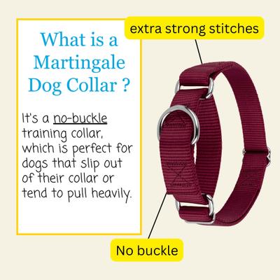 Show full view: Country Brook Design Heavyduty Nylon Martingale Dog Collar, Burgundy, Large: 18 to 26-in neck, 1-in wide slide 6 of 10