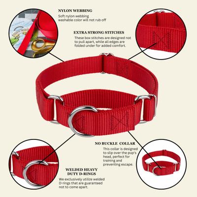 Show full view: Country Brook Design Heavyduty Nylon Martingale Dog Collar, Red, Small: 11 to 15-in neck, 3/4-in wide slide 9 of 10