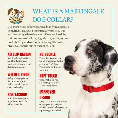 Show full view: Country Brook Design Heavyduty Nylon Martingale Dog Collar, Red, Small: 11 to 15-in neck, 3/4-in wide slide 8 of 10