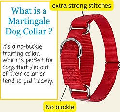 Country Brook Design Heavyduty Nylon Martingale Dog Collar, Red, X-Large: 23 to 31-in neck, 1-in wide slide 2 of 9