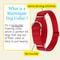 Show in main carousel: Country Brook Design Heavyduty Nylon Martingale Dog Collar, Red, Small: 11 to 15-in neck, 3/4-in wide slide 6 of 10