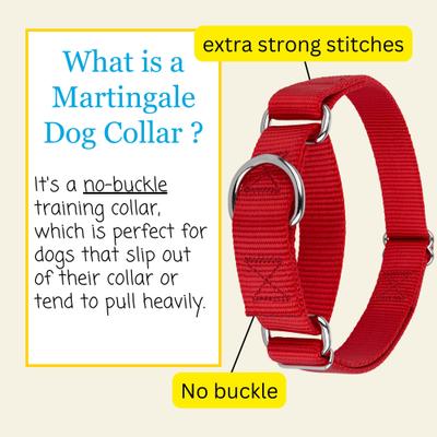 Show full view: Country Brook Design Heavyduty Nylon Martingale Dog Collar, Red, Small: 11 to 15-in neck, 3/4-in wide slide 6 of 10