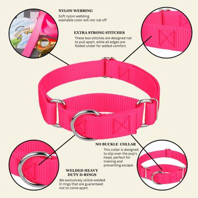 Show full view: Country Brook Design Heavyduty Nylon Martingale Dog Collar, Hot Pink, Medium: 15 to 21-in neck, 1-in wide slide 9 of 10