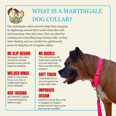 Show full view: Country Brook Design Heavyduty Nylon Martingale Dog Collar, Hot Pink, Medium: 15 to 21-in neck, 1-in wide slide 8 of 10