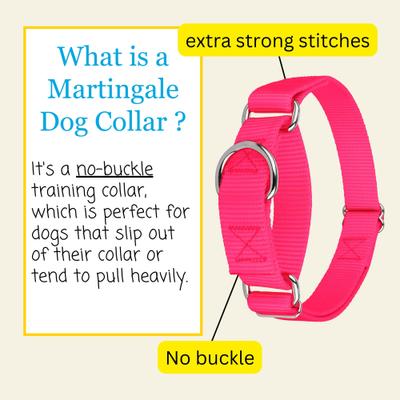 Show full view: Country Brook Design Heavyduty Nylon Martingale Dog Collar, Hot Pink, Medium: 15 to 21-in neck, 1-in wide slide 6 of 10