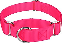 Country Brook Design Heavyduty Nylon Martingale Dog Collar, Hot Pink, Small: 11 to 15-in neck, 3/4-in wide
