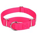 Country Brook Design Heavyduty Nylon Martingale Dog Collar, Hot Pink, Small: 11 to 15-in neck, 3/4-in wide