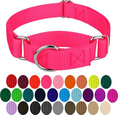 Show full view: Country Brook Design Heavyduty Nylon Martingale Dog Collar, Hot Pink, Medium: 15 to 21-in neck, 1-in wide slide 5 of 10