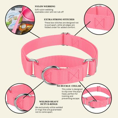 Show full view: Country Brook Design Heavyduty Nylon Martingale Dog Collar, Pink, Large: 18 to 26-in neck, 1-in wide slide 9 of 10