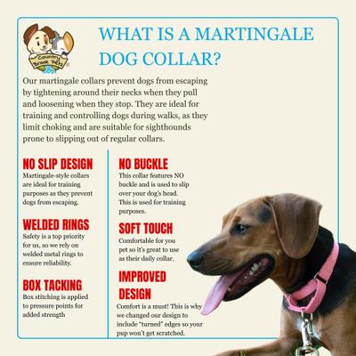 Show full view: Country Brook Design Heavyduty Nylon Martingale Dog Collar, Pink, Large: 18 to 26-in neck, 1-in wide slide 8 of 10