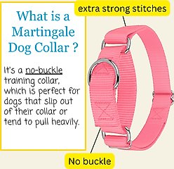 Country Brook Design Heavyduty Nylon Martingale Dog Collar, Pink, Large: 18 to 26-in neck, 1-in wide slide 2 of 9