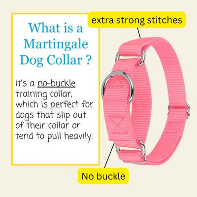 Show full view: Country Brook Design Heavyduty Nylon Martingale Dog Collar, Pink, Large: 18 to 26-in neck, 1-in wide slide 6 of 10