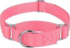Country Brook Design Heavyduty Nylon Martingale Dog Collar, Pink, X-Large: 23 to 31-in neck, 1-in wide