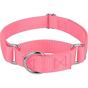 Country Brook Design Heavyduty Nylon Martingale Dog Collar, Pink, Medium: 15 to 21-in neck, 1-in wide