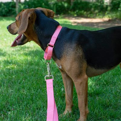 Show full view: Country Brook Design Heavyduty Nylon Martingale Dog Collar, Pink, Small: 11 to 15-in neck, 3/4-in wide slide 2 of 10