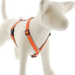 LupinePet Reflective Diamonds Adjustable Dog Harness, Orange Diamond, Medium: 14 to 24-in chest