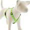 Show in main carousel: LupinePet Reflective Diamonds Adjustable Dog Harness, Green Diamond, Medium: 14 to 24-in chest slide 1 of 6