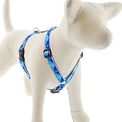 LupinePet Reflective Paws Adjustable Dog Harness, Blue Paws, Large: 20 to 32-in chest