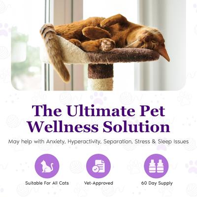 Show full view: Petnatics Purrfect Calm Diffuser for Cats, 1 Plugin, 2 refills slide 6 of 8