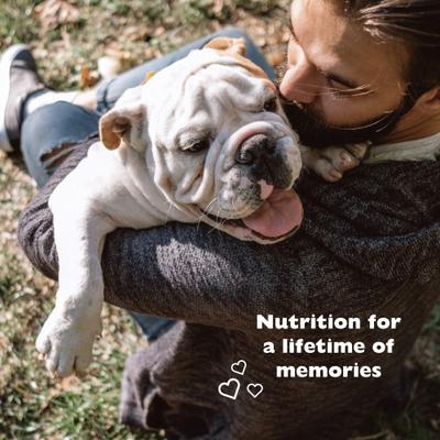 Show full view: Bil-Jac Reduced Fat Chicken Recipe Dry Dog Food, 30-lb bag slide 7 of 10