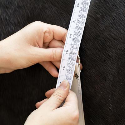Show full view: Horze Weight Horse Measuring Tape slide 3 of 4