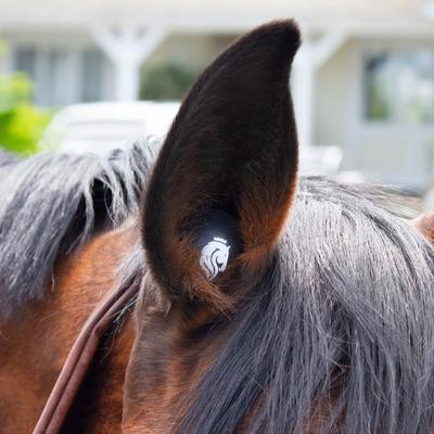 Show full view: Equinavia BudZ Horse Ear Plugs, Black, 3 count slide 2 of 3