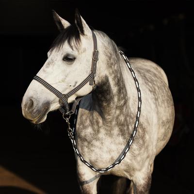 Show full view: Horze Adepto Horse Halter, Dark Navy, Cob slide 6 of 6