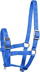 Horze Foal Horse Halter, Blue
