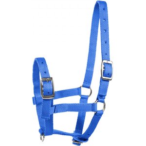 Horze Foal Horse Halter, Blue