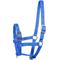 Show in main carousel: Horze Foal Horse Halter, Blue slide 1 of 6