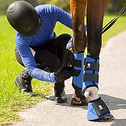 Equinavia Odin Flexi Overreach Horse Boots, Royal Blue, Large slide 2 of 5