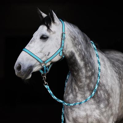 Show full view: Horze Adepto Horse Halter, Canal Blue, Horse slide 3 of 3