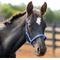 Show in main carousel: Horze Foal Horse Halter, Blue slide 3 of 6