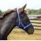 Show in main carousel: Horze Foal Horse Halter, Blue slide 4 of 6