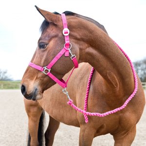 Horze Basic Cotton Horse Lead Rope, Raspberry Pink