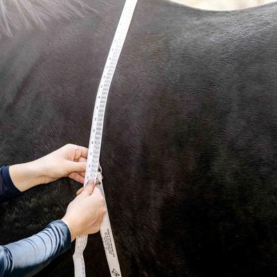 Show full view: Horze Weight Horse Measuring Tape slide 4 of 4