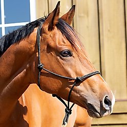 Equinavia Rope Horse Halter, Black