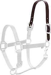 Equinavia Breakaway Horse Halter Replacement Crown Piece