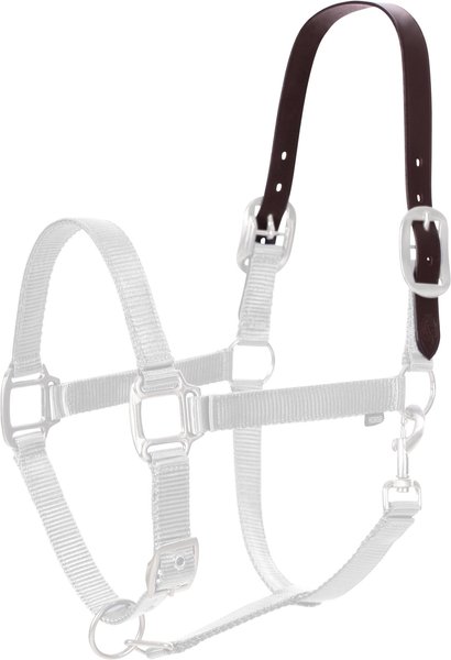 Equinavia Replacement Horse Leg Straps, Black