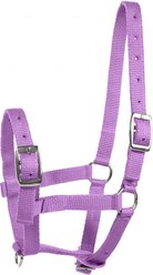 Horze Foal Horse Halter, Purple
