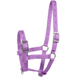 Horze Foal Horse Halter, Purple