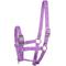 Show in main carousel: Horze Foal Horse Halter, Purple slide 1 of 2