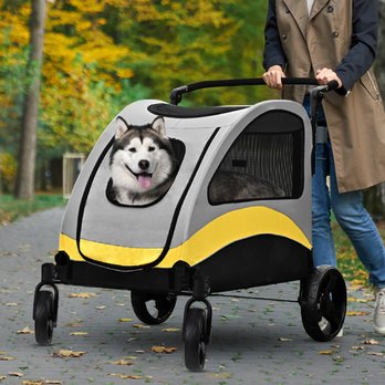 Dog Strollers: Small to Large Breeds, Low Prices (Free Shipping) | Chewy