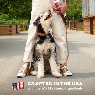 Show full view: Jinx Beef & Cheese Layers Jerky Dog Treats, 15-oz bag slide 9 of 11