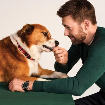 Show full view: Jinx Chicken Bites Jerky Dog Treats, 15-oz bag slide 5 of 11