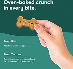 Jinx Salmon Bone Broth Biscuits Crunchy Dog Treats, 16-oz bag slide 2 of 9