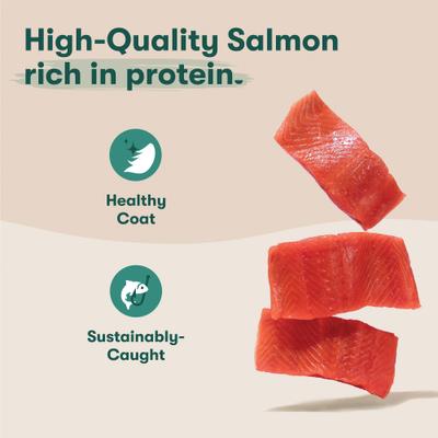 Show full view: Jinx Salmon Bone Broth Biscuits Crunchy Dog Treats, 16-oz bag slide 3 of 11